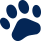 Icon - Blue Paw.